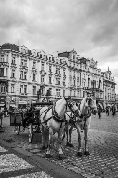 Красивые Улицы Архитектура Осени Праги — стоковое фото