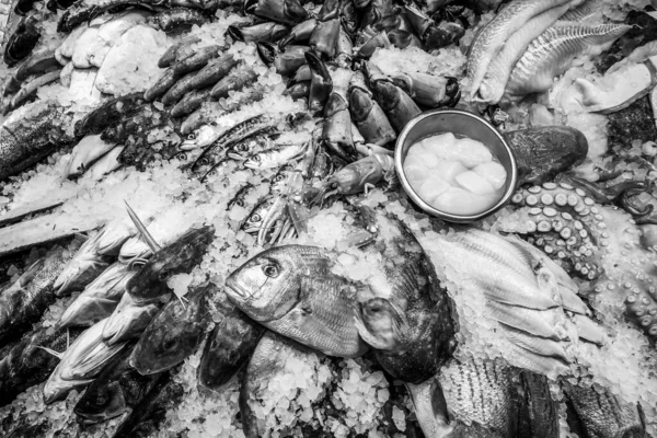 Poisson Fruits Mer Frais Sur Glace Marché — Photo