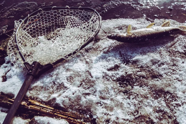 Pesca Del Luccio Sul Lago — Foto Stock