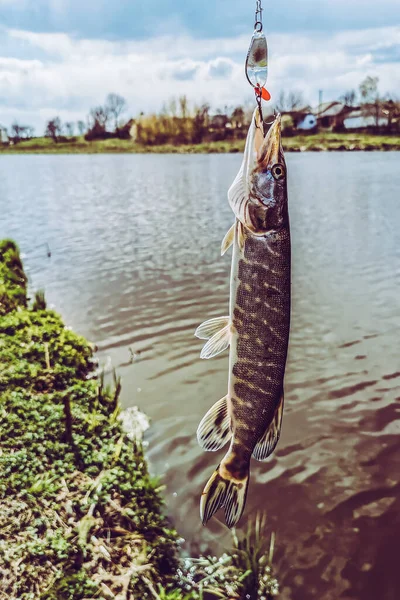 Pesca Riposo Campagna Contesto Sul Tema Della Ricreazione — Foto Stock