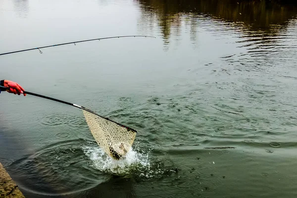 Pesca Alla Trota Sul Lago Pesca Sportiva Attività All Aria — Foto Stock