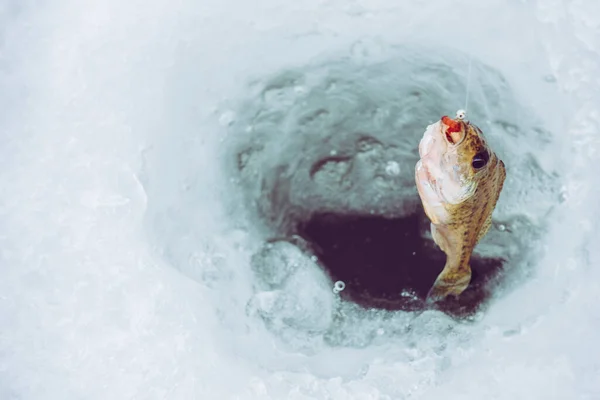 Inverno Ice Pesca Sfondo — Foto Stock