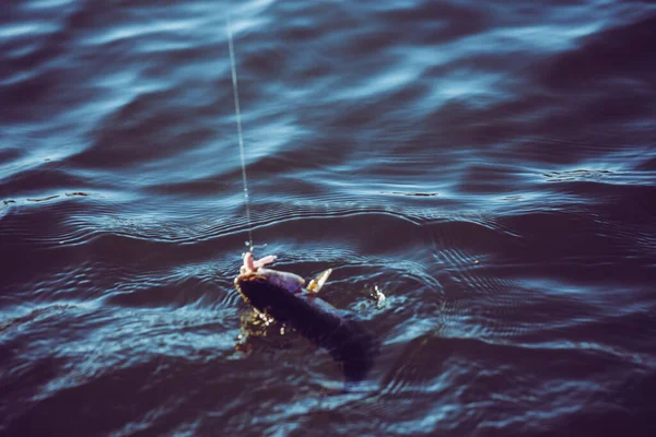 Pesca Alla Trota Sul Lago — Foto Stock