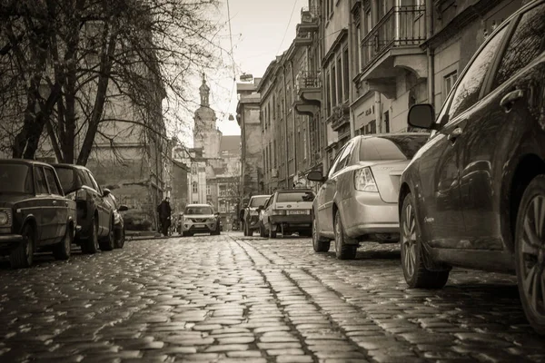 Magnificent Winter Lviv Architecture Streets — Stock Photo, Image