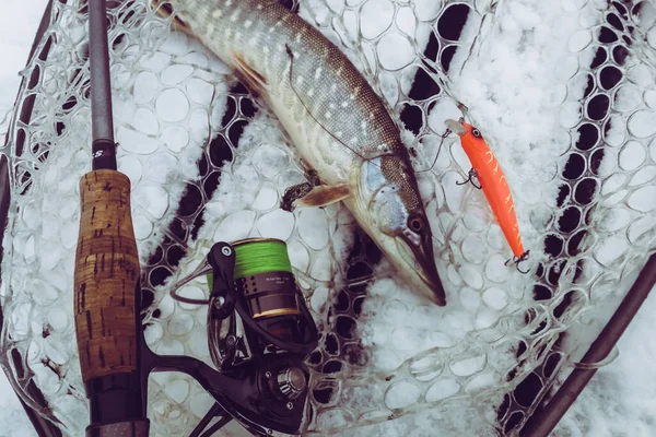 Pike Fishing Lake Fishing Recreation — Stock Photo, Image