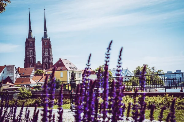 Piękne Kościoły Wrocławia Atrakcje Turystyczne Podróże Europie — Zdjęcie stockowe