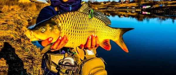 Pêche Brochet Sur Lac Pêche Sportive Activités Plein Air — Photo