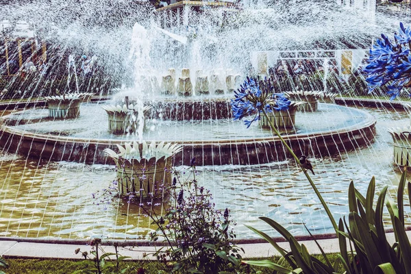 Bellissimo Parco Giardino Copenaghen Attrazioni — Foto Stock