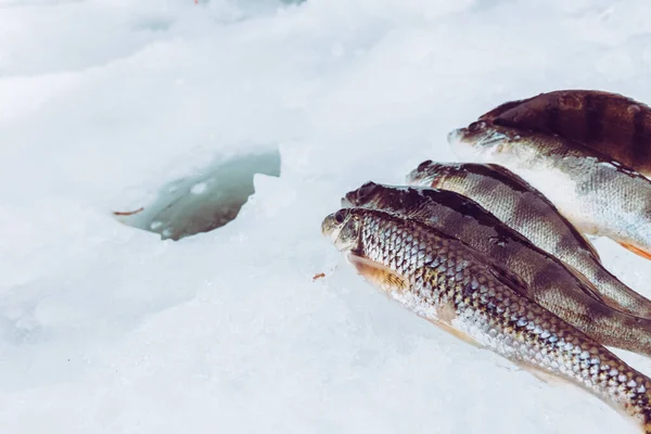 Winter Eisfischen Hintergrund — Stockfoto