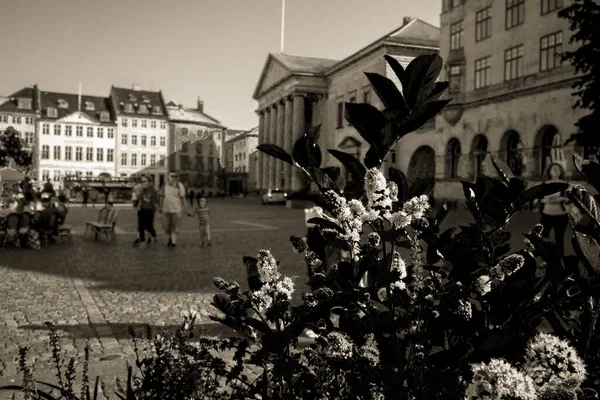 Copenhagen City Dinamarca Escandinavia Hermoso Día Verano —  Fotos de Stock