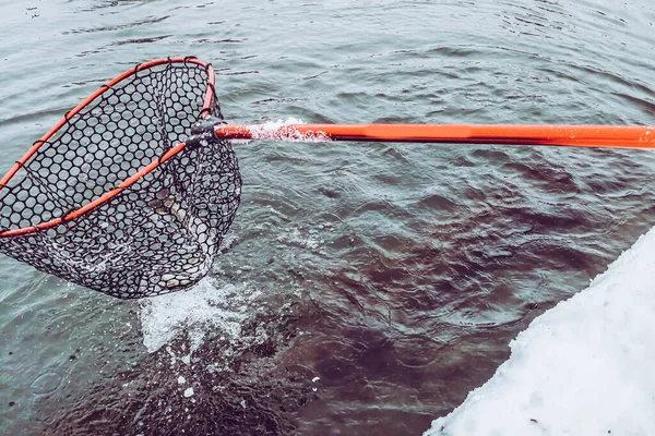 Pêche Truite Dans Fond Lac — Photo