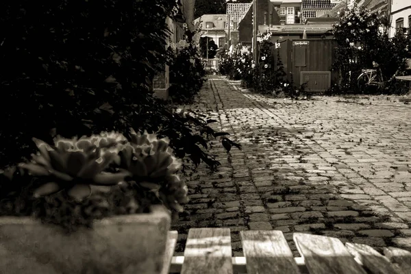 Beautiful Danish Architecture Picturesque Village — Stock Photo, Image