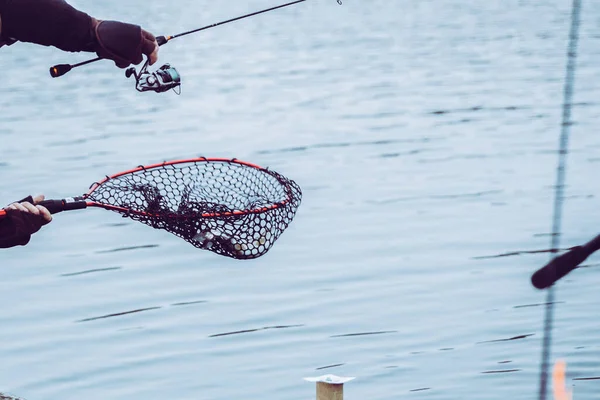 Pesca Truchas Lago — Foto de Stock