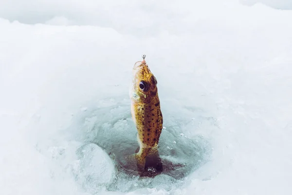 Inverno Fundo Pesca Gelo — Fotografia de Stock