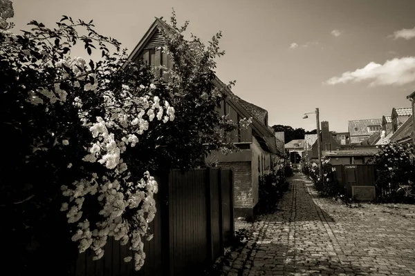 Bella Architettura Danese Pittoresco Villaggio — Foto Stock