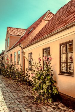 Resimli bir köyde güzel bir Danimarka mimarisi