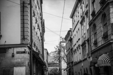 Muhteşem kış Lviv mimarisi ve sokakları