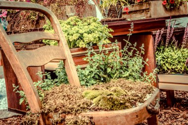 Wroclaw şehrinin caddeleri ve evleri. Şehir manzarası