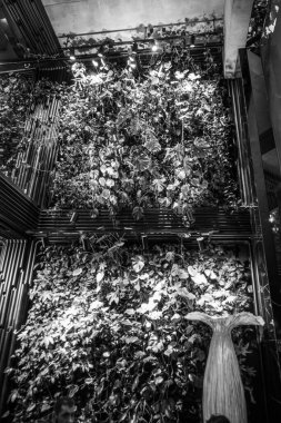 İç kısımda taze çiçekler var.