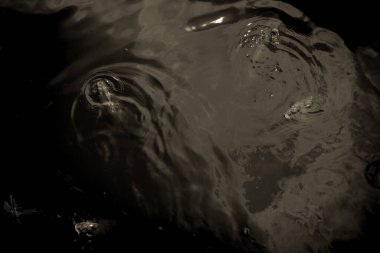 Kopenhag 'daki Güzel Rosenborg Kalesi