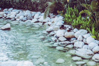 Kıyıdaki güzel hamak