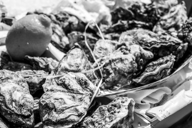 Taze istiridyeler buzda yatıyor.