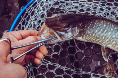 Balıkçılık sporları arka planı