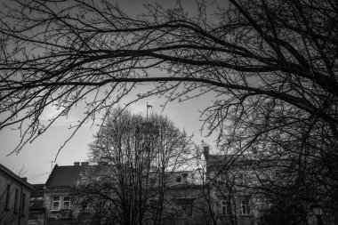 Muhteşem kış Lviv mimarisi ve sokakları