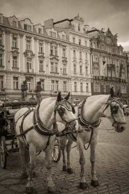 Güz Prag 'ın güzel sokakları ve mimarisi