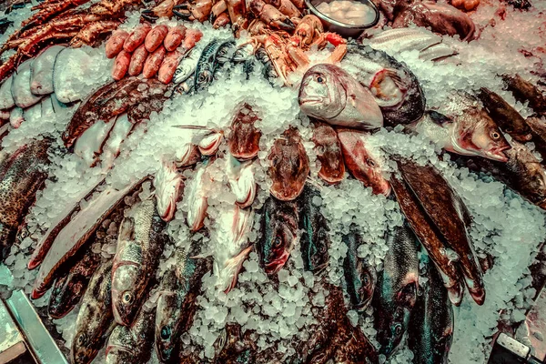 Peixes Mariscos Frescos Gelo Mercado — Fotografia de Stock