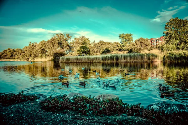 Hermosa Ciudad Estanque Copenhague — Foto de Stock