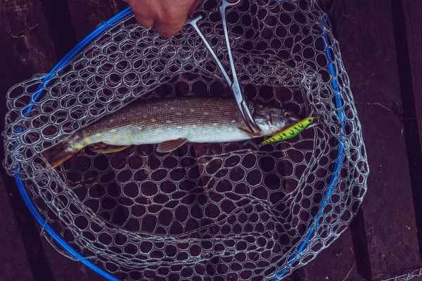 Fiske Utomhus Rekreation Sjön Bakgrund — Stockfoto