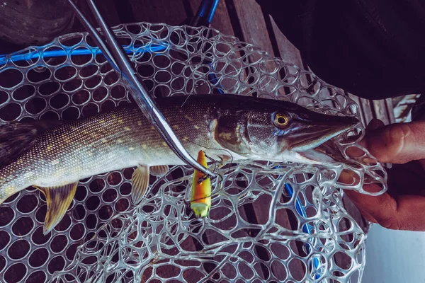 Риболовля Відкритому Повітрі Фоні Озера — стокове фото