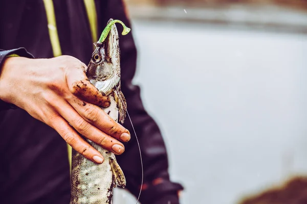 Pike Fishing Lake Fishing Recreation — Stock Photo, Image