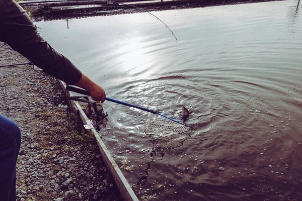 湖でマス釣り 釣りのレクリエーション — ストック写真