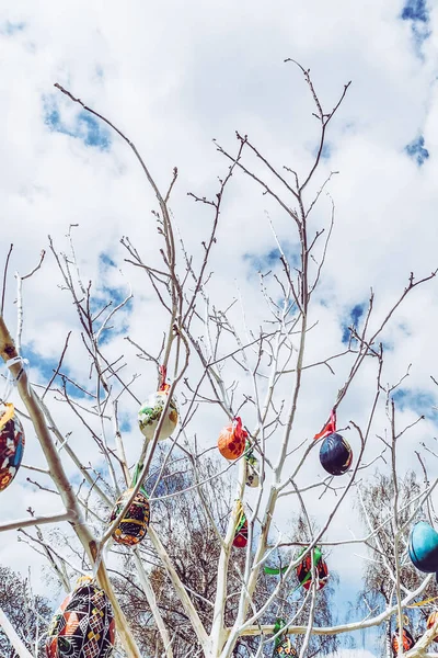 Πασχαλινά Αυγά Ξύλινα Κλαδιά Φόντο Στο Θέμα Του Πάσχα — Φωτογραφία Αρχείου