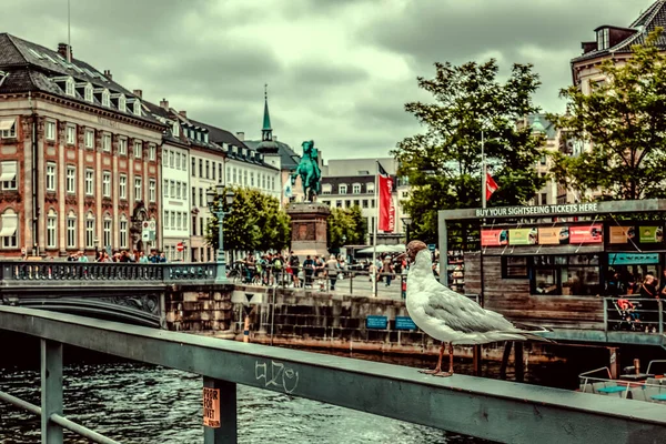 Copenhaga Dinamarca Escandinávia Belo Dia Verão — Fotografia de Stock
