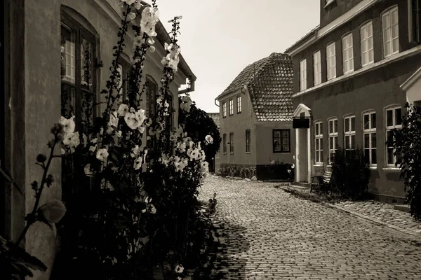 Resimli Bir Köyde Güzel Bir Danimarka Mimarisi — Stok fotoğraf