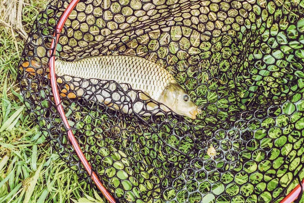 Pesca Lago Naturaleza Recreación Fondo — Foto de Stock