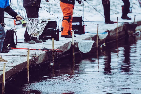 Pesca Trutas Lago Recreação Pesca — Fotografia de Stock