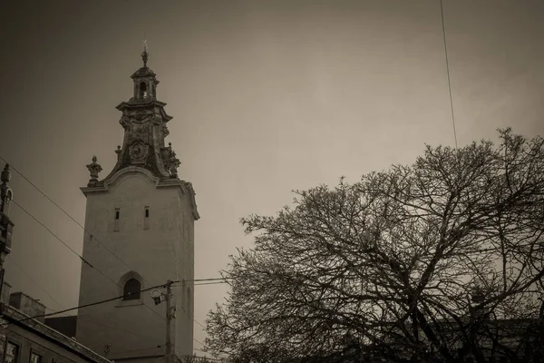 Великолепная Зима Львовская Архитектура Улицы — стоковое фото