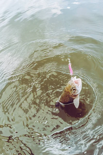 Pêche Truite Dans Lac Pêche Loisirs — Photo