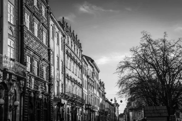 Magnífico Invierno Lviv Arquitectura Calles — Foto de Stock