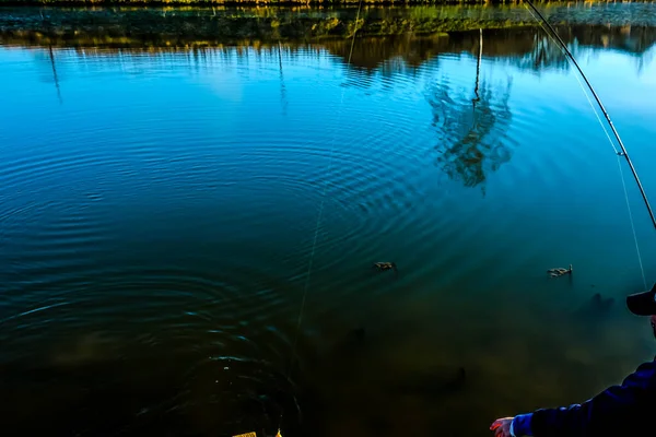 Риболовля Риболовля Озері — стокове фото