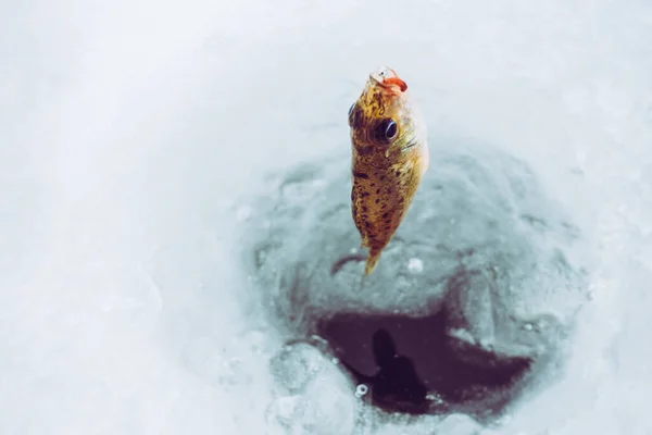 冬の氷釣りの背景 — ストック写真