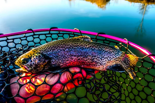 Halászat Horgászat Tavon — Stock Fotó