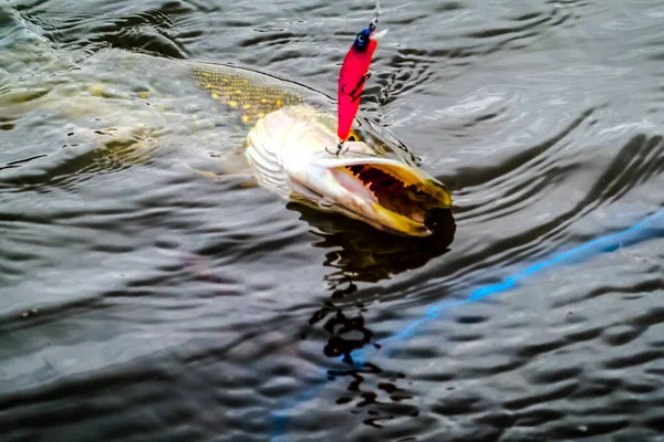 Pesca Sul Lago Fondo Pesca — Foto Stock