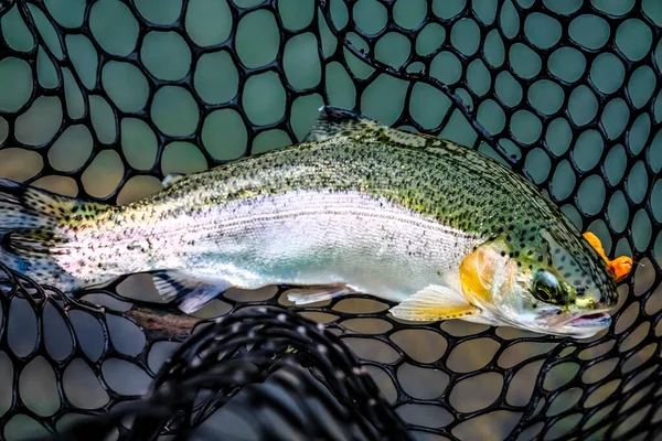 Fishing Fishing Lake — Stock Photo, Image