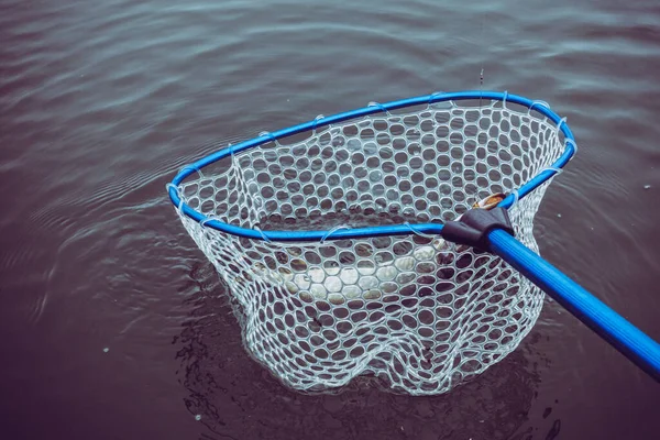 Pesca Lúcio Lago — Fotografia de Stock