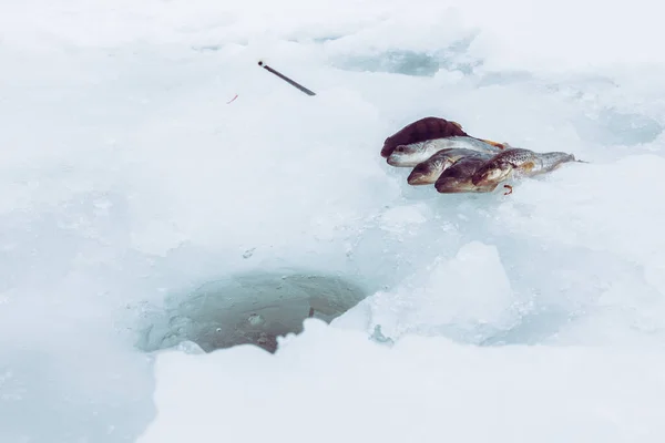 Winter Ice Fishing Background — Stock Photo, Image